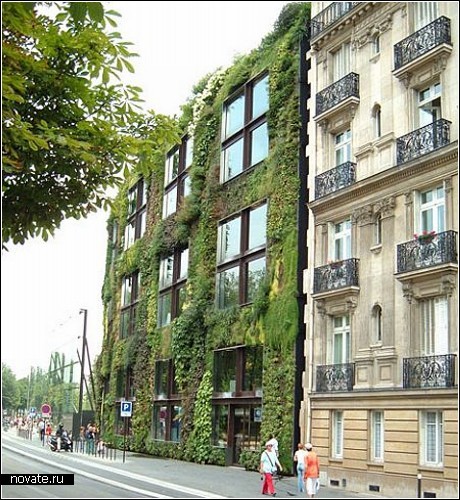 Самые необычные дома со всего мира Green_roofs_12