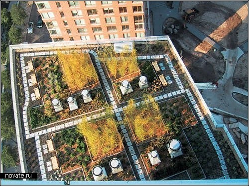 Самые необычные дома со всего мира Green_roofs_2
