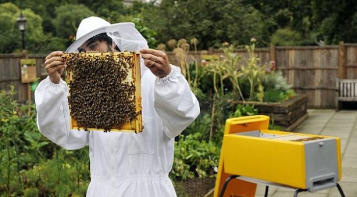 В Башкирии есть школы, где изучают пчеловодство