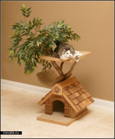 Кошкин дом с собственным деревом