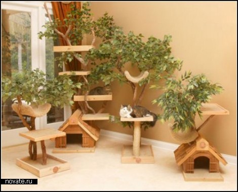 Кошкин дом с собственным деревом