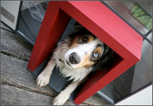 Cubix, ��������� ������ ��� ������������ ��������