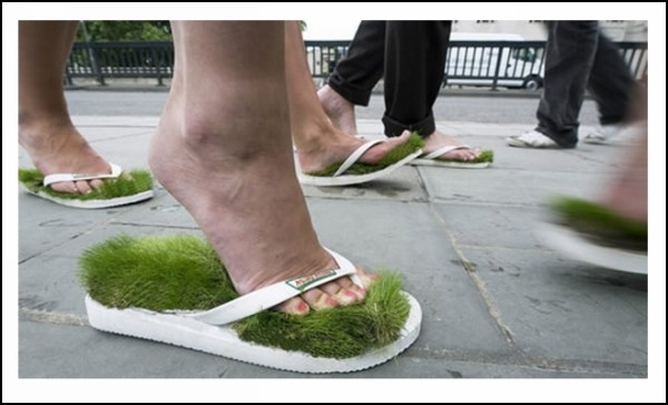 ����� ��������� �������