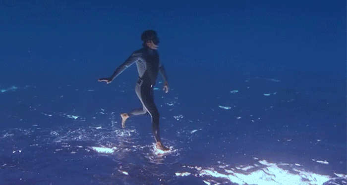 Лучшее подводное видео 2014 года Лучшее подводное видео 2014 года