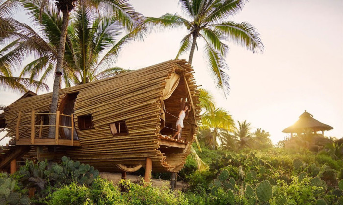 Бамбуковый дом на дереве.