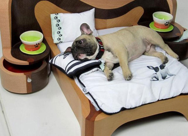 двуспальная кровать для собак
