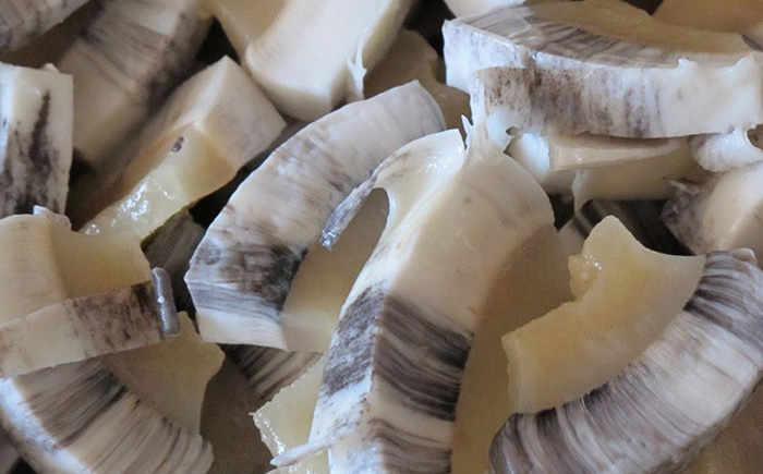 Мактак Мактак