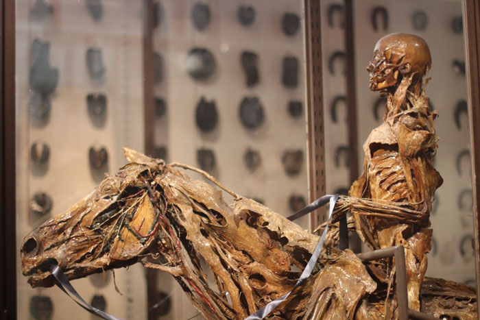 Оноре Фрагонар – забальзамированные тела