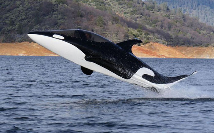 SeaBreacher SeaBreacher