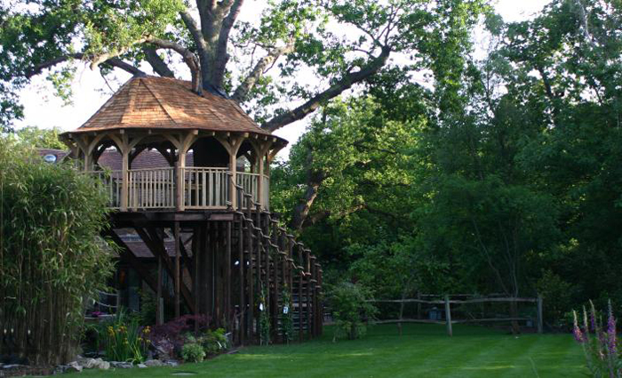 Дом-столовая на дереве Дом-столовая на дереве