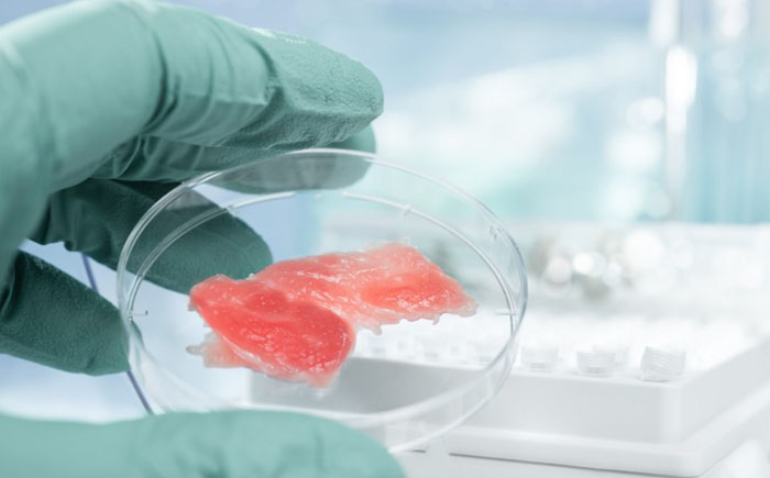 Мясо, выращенное в лабораторных условиях