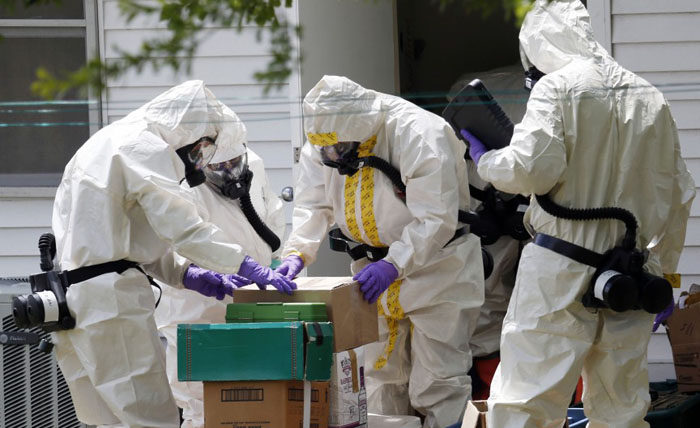 Сибирская язва Сибирская язва