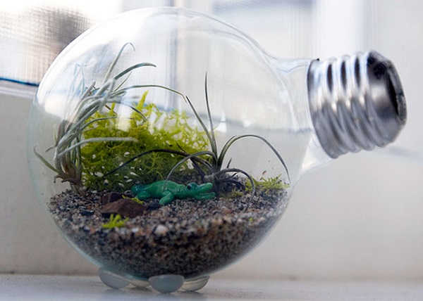 Террариум из лампочки