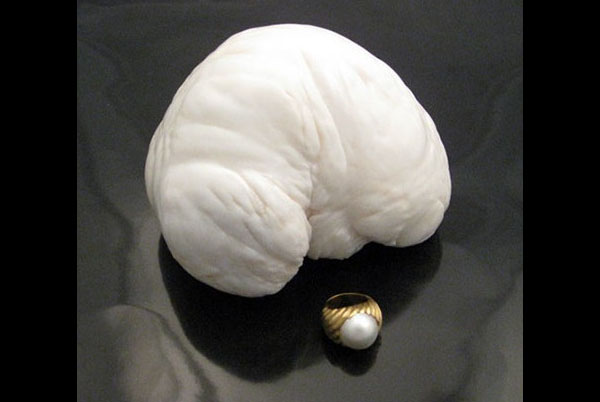 Жемчужина Лао-цзы Жемчужина Лао-цзы