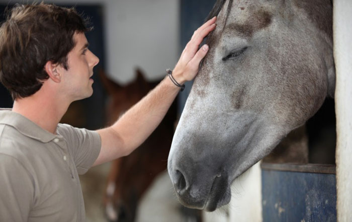 Общество &laquo;Заклинание конюха&raquo;