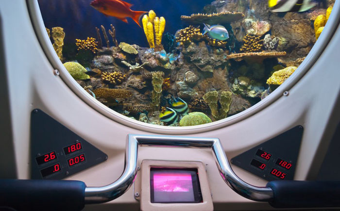 Дорогие водные игрушки Дорогие водные игрушки