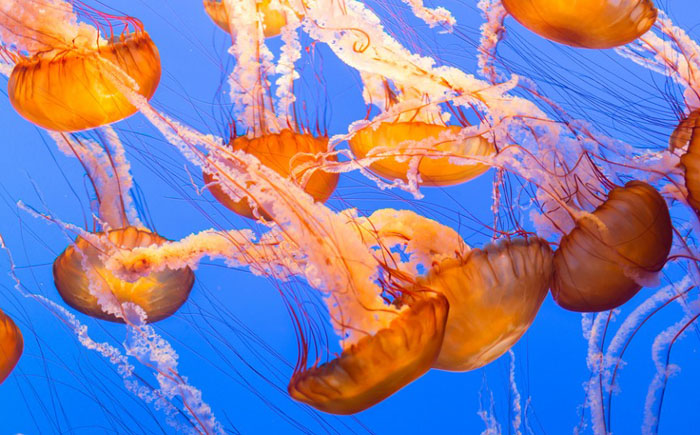 Очистка воды Очистка воды