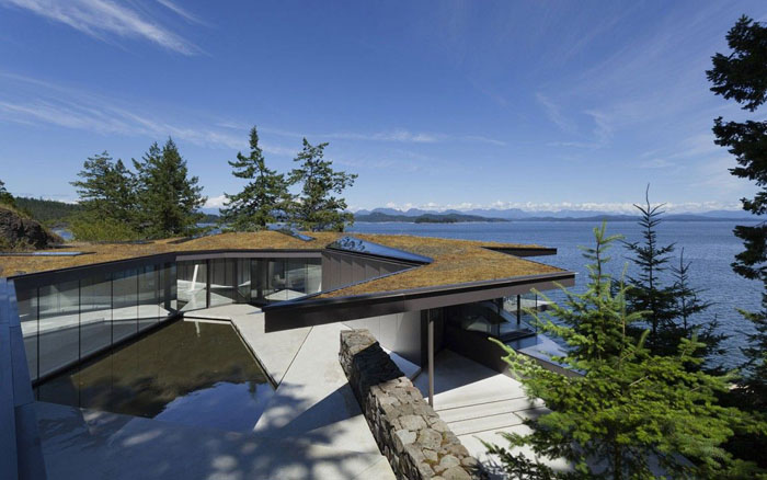 Крыша покрыта мхом и растениями Крыша покрыта мхом и растениями