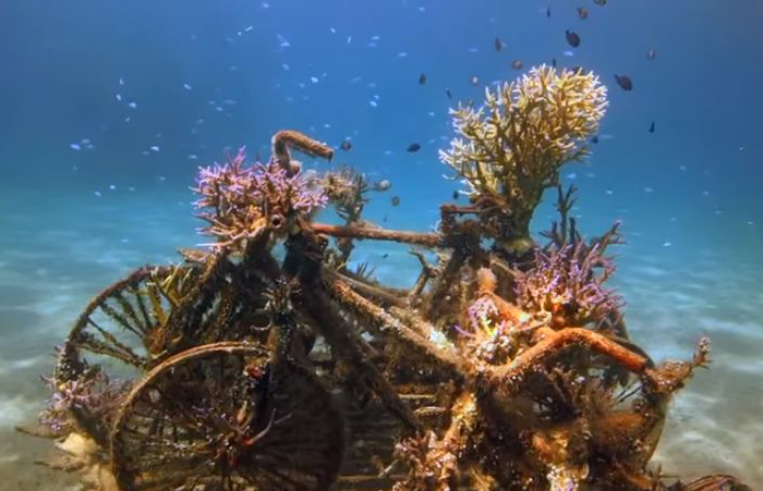 Подводные скульптуры, Бали
