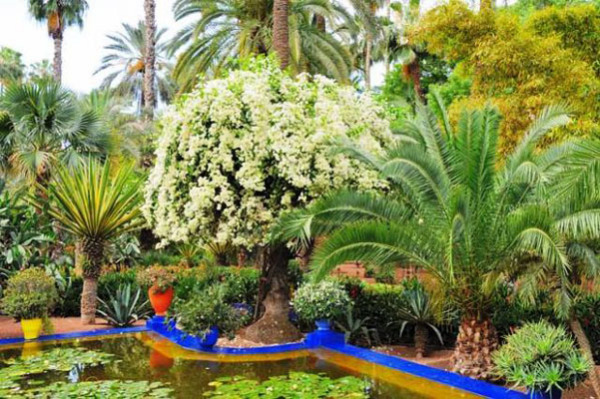 Сад Мажорель, Марракеш, Марокко