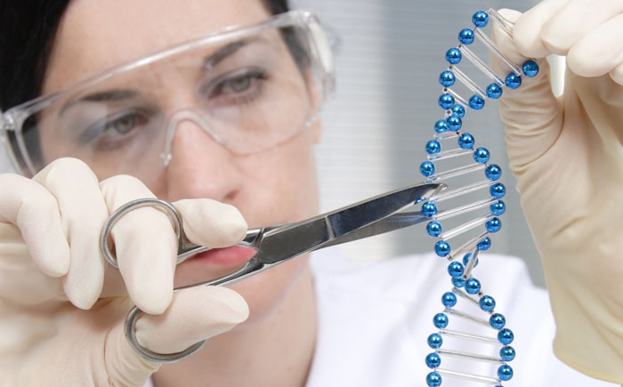 Вынужденная эволюция Вынужденная эволюция