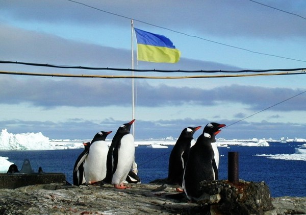 На страже Украинской Антарктиды. Источник фото: dumskaya.net
