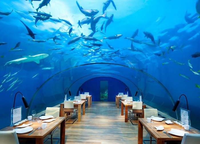 Подводный отель Conrad Maldives Rangali Island Hotel Подводный отель Conrad Maldives Rangali Island Hotel