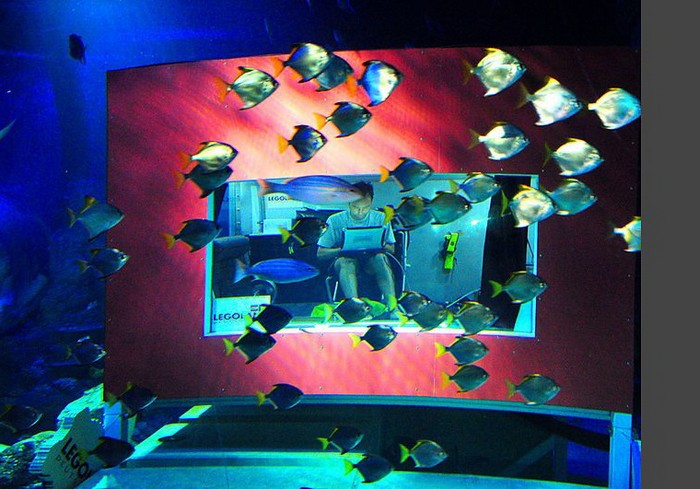 Подводный дом в парке развлечений Legoland Atlantis Подводный дом в парке развлечений Legoland Atlantis