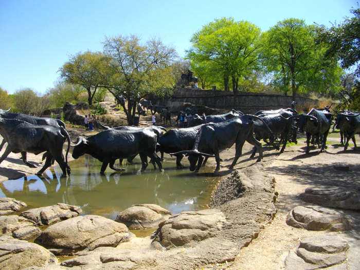 Перегон скота, Даллас, Техас, США.