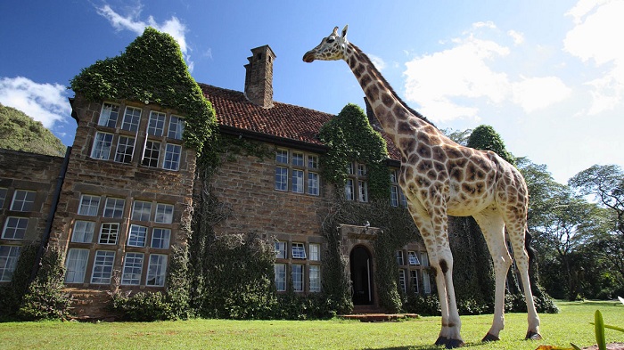 Отель Giraffe Manor (Кения).