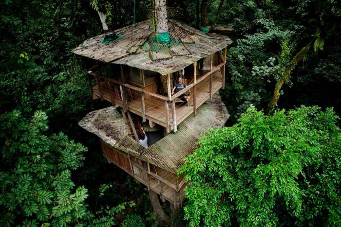 Еко-садиба Finca Bellavista, розташована на деревах у тропічному лісі Коста Ріки.
