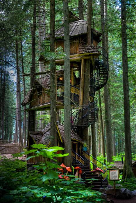Чудовий триповерховий будинок на дереві.