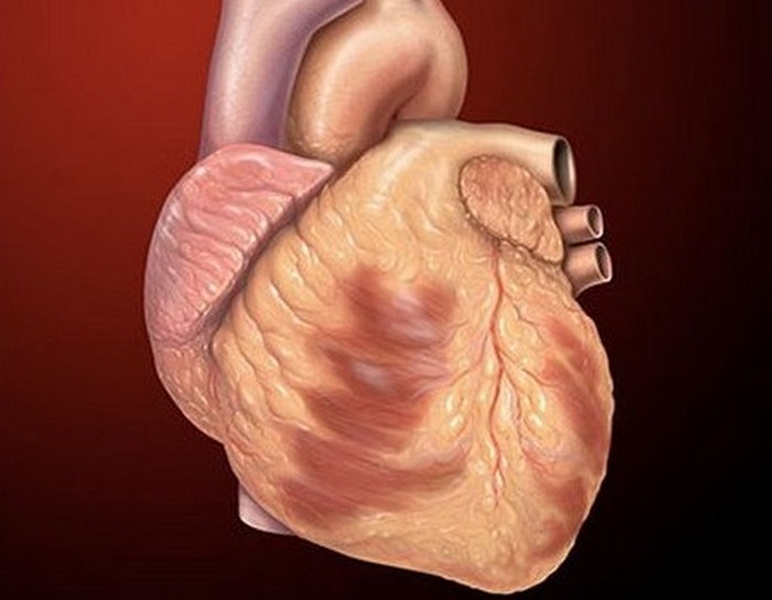 Сердце - вместилище души. Сердце - вместилище души.