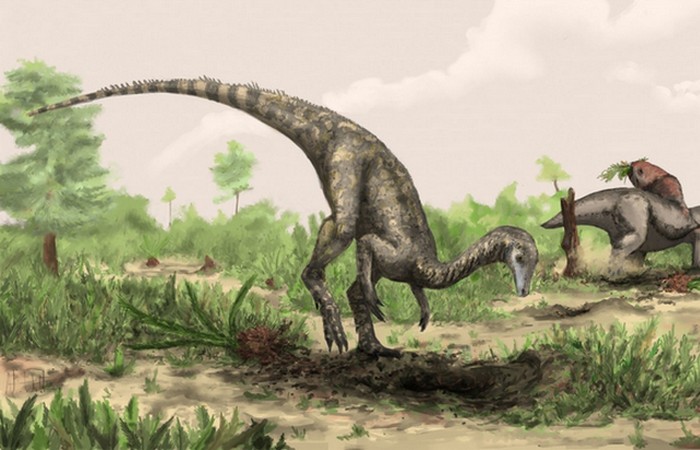 Самый старый динозавр - ньясазавр.