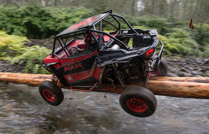 Сумасшедшая гонка в диком лесу. Сумасшедшая гонка в диком лесу.