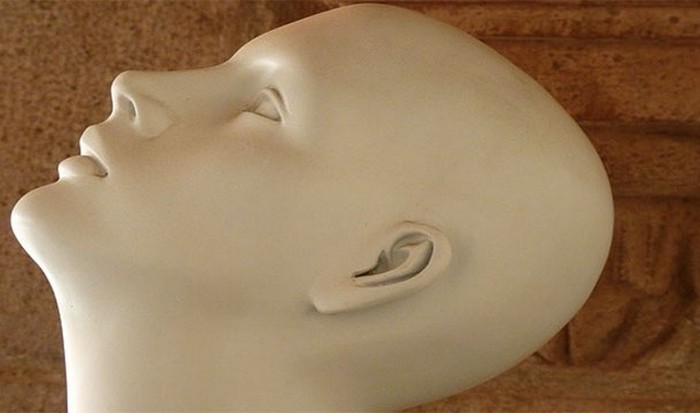 Борьба с педикулезом. Борьба с педикулезом.