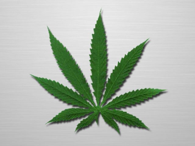 Конопля. Конопля.