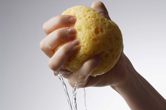 Маринованная губка. Маринованная губка.