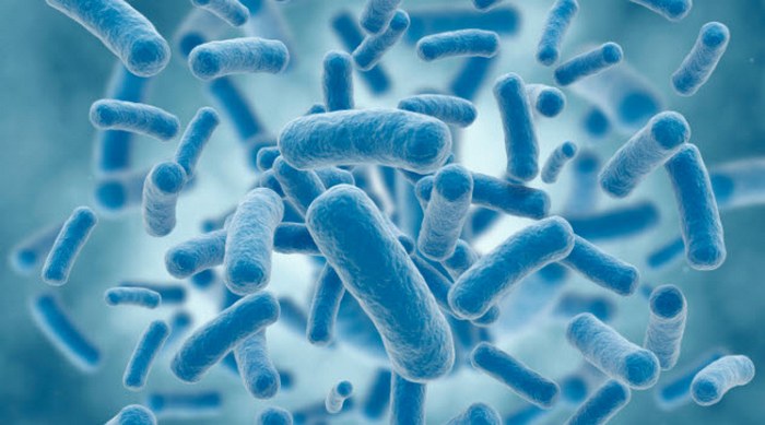 Живой ДНК. Живой ДНК.