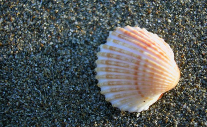 Искусство. Искусство.