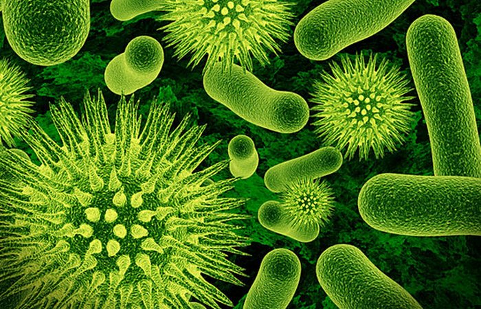 Научный факт: человеческий пот не пахнет, пахнут бактерии.