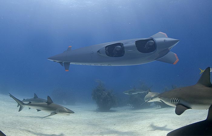 Прогулка на Ortega Submersibles с акулами.