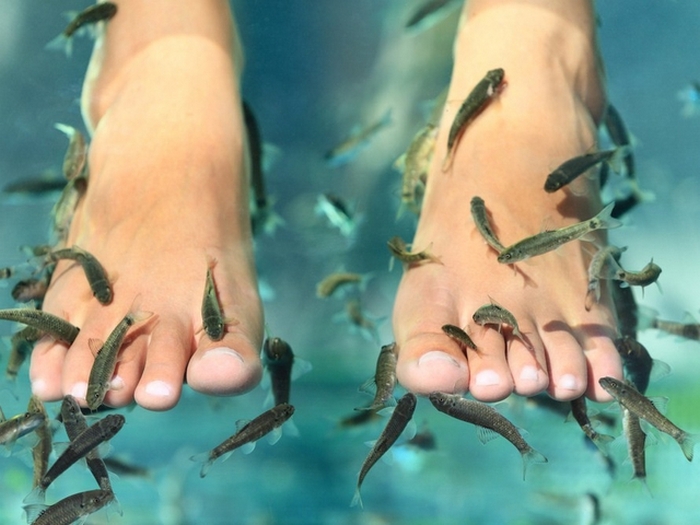 Рыбный педикюр. Рыбный педикюр.