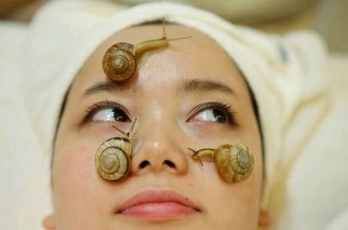 Крем из слизи улиток. Крем из слизи улиток.