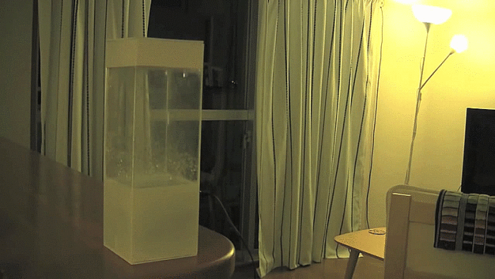 прогноз погоды в интерьере, гаджет