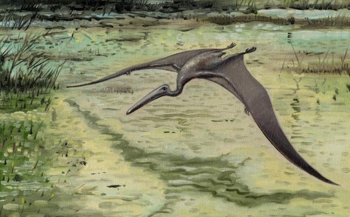 Летающий ящер конгамато.