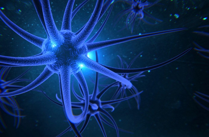 Галлюцинации и обычное восприятие окружающей реальности используют одни и те же участки мозга. Галлюцинации и обычное восприятие окружающей реальности используют одни и те же участки мозга.