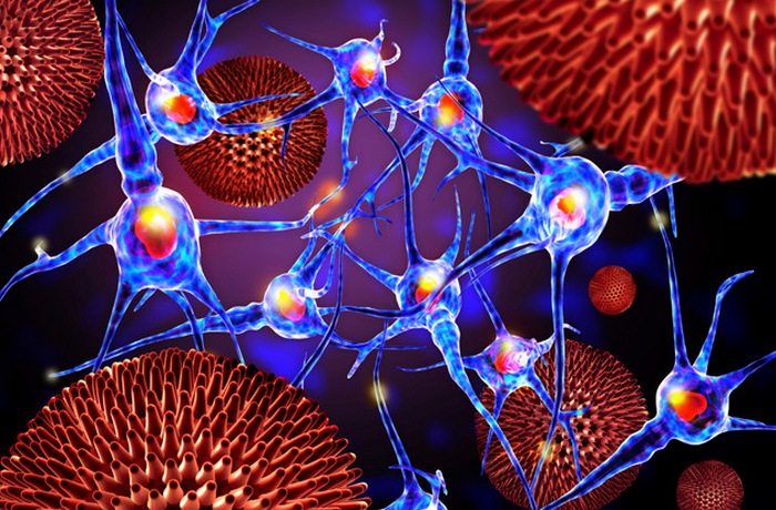 Предсмертные видения могут быть вызваны эпилептической активностью в височных долях. Предсмертные видения могут быть вызваны эпилептической активностью в височных долях.