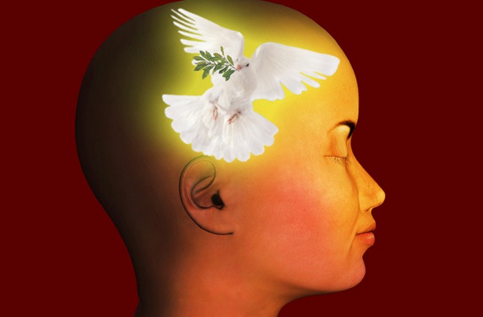 Неврология и религия не противоречат друг другу. Неврология и религия не противоречат друг другу.