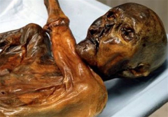 Ледяной человек Эци. Ледяной человек Эци.